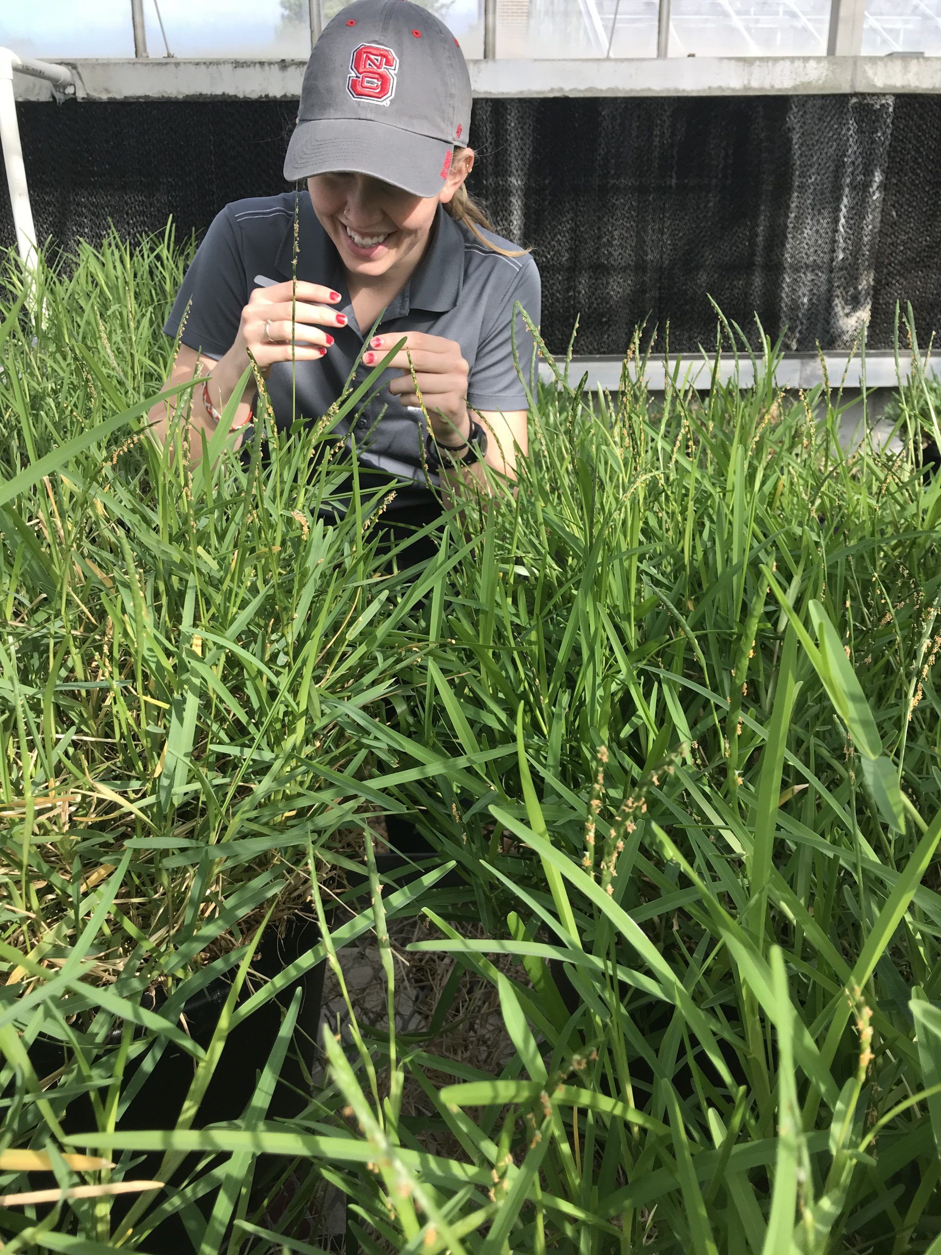 A female student works in a turfgrass greenhouse