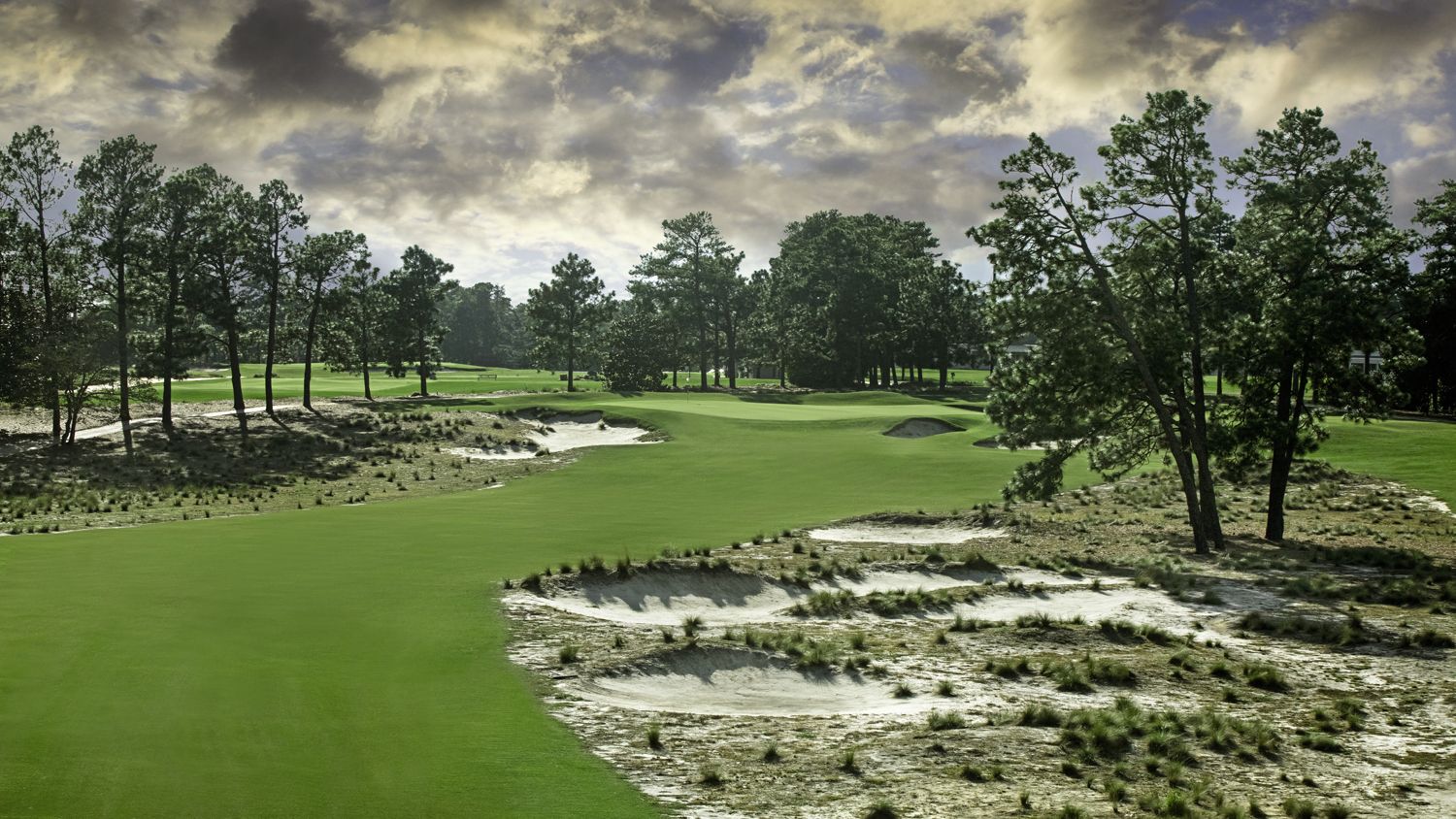 Hole 13 at Pinehurst Resort's golf course Number 2.