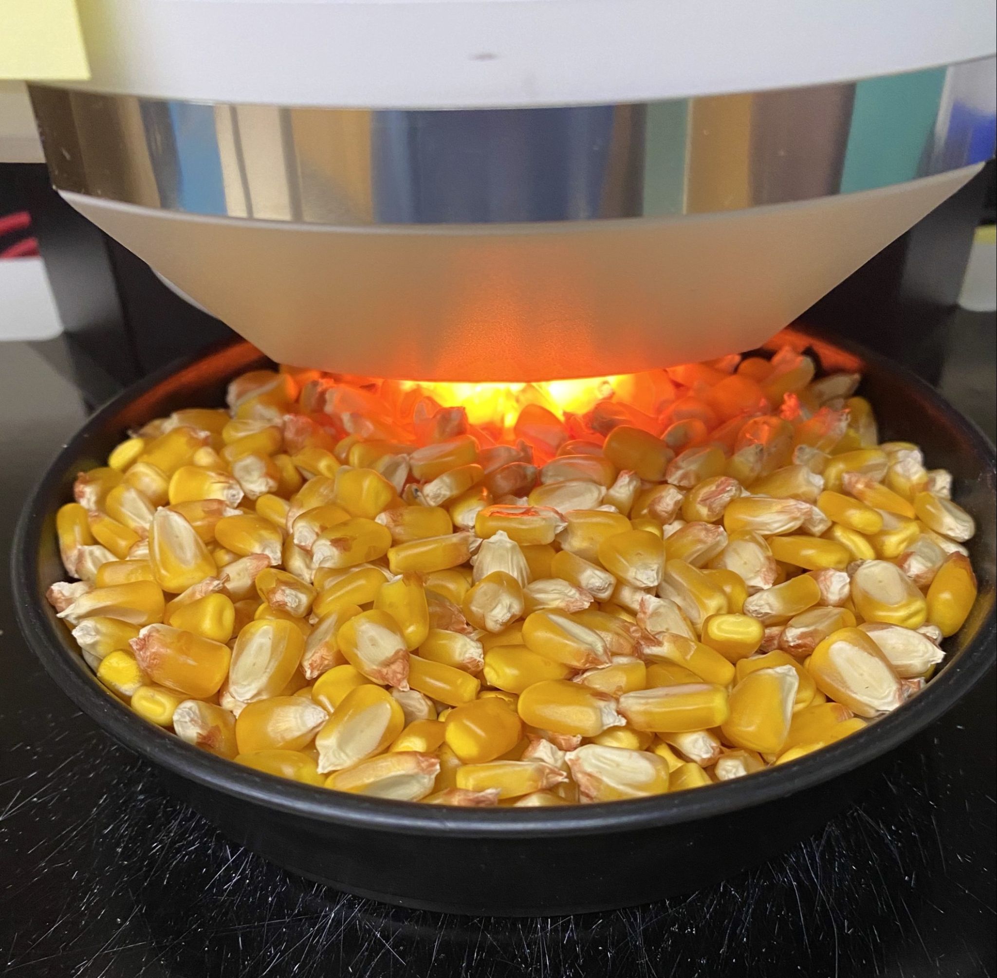 Close up of corn under infrared light