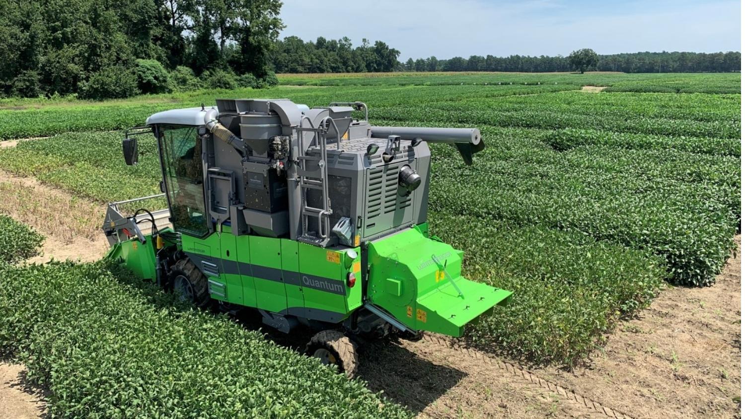 NC State Extension soybean field research program