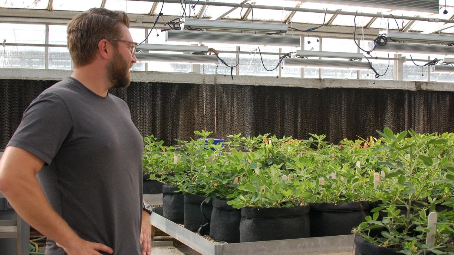 Jeff Dunne in NC State greenhouse