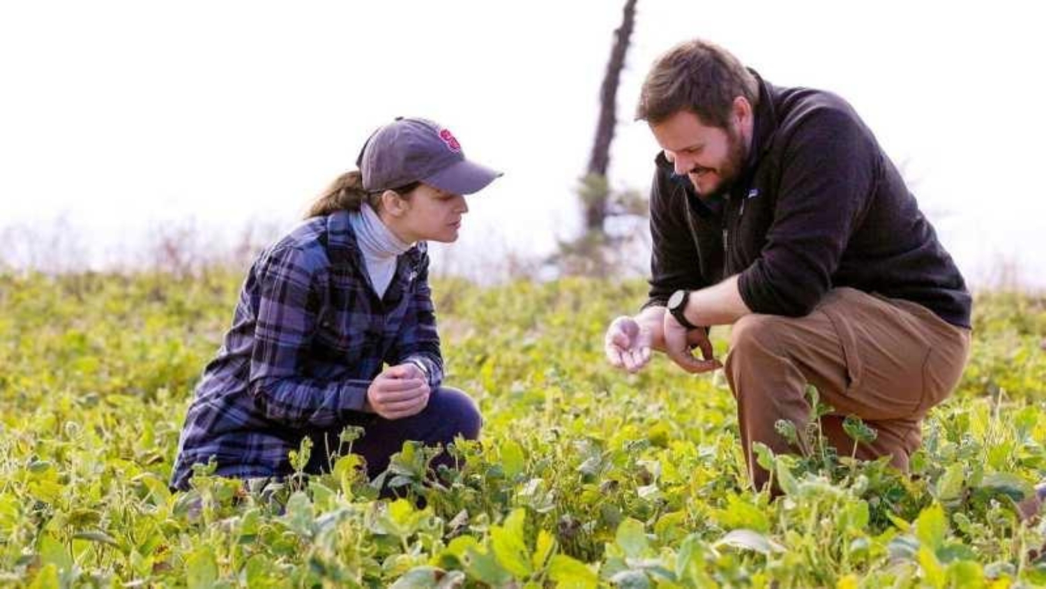 Soil scientist Alex Woodley and former graduate student Cara Mathers kneel in a tillage research field.