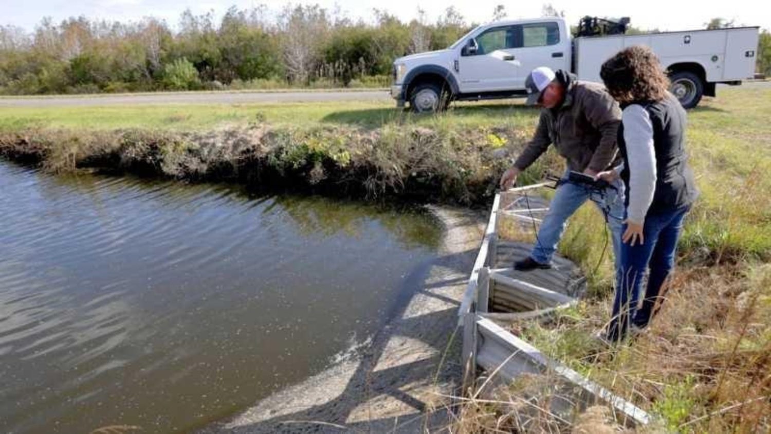 NC Extension agent Andrea Gibbs works with a Hyde County, NC farmer on saltwater problems.