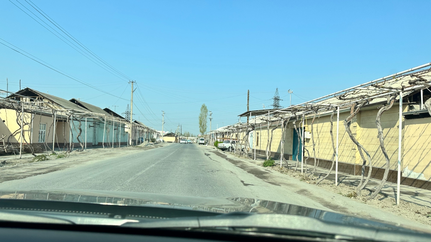 Uzbek homes with grape arbors