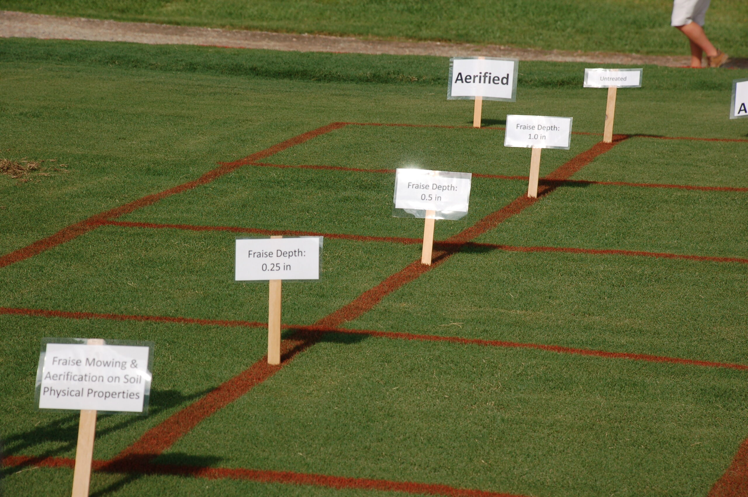 Turfgrass management plots at NC State's Lake Wheeler Turfgrass Field Lab.