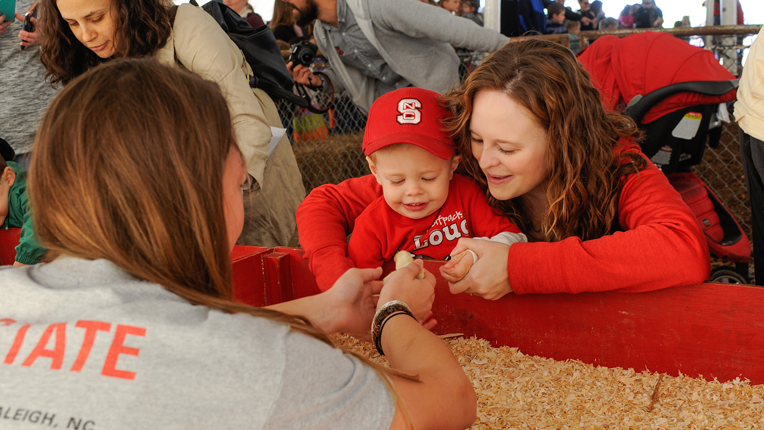 NC State student shows young boy a chick.