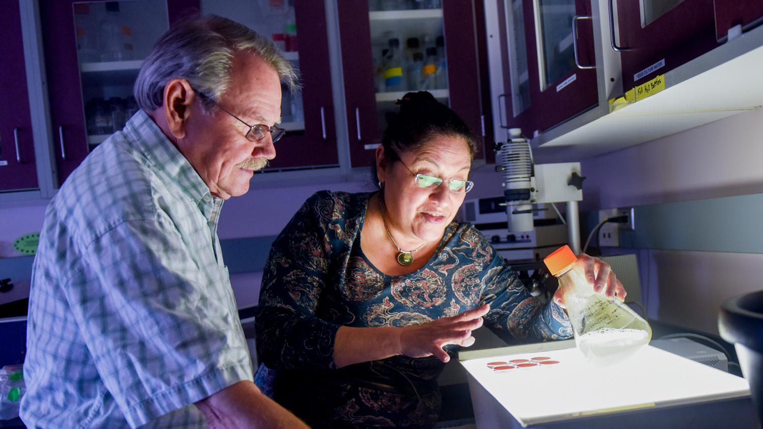 Drs. Dennis Brown and Raquel Hernandez of NC State&#039;s CALS are testing a lifelong vaccine to the Zika virus.