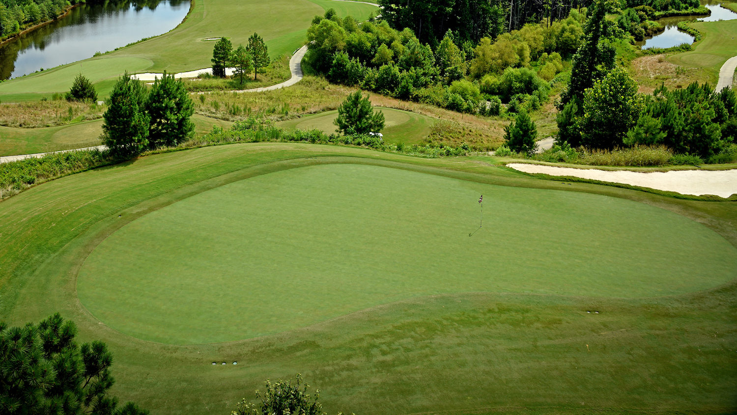 Golf green at the Lonnie Poole Golf Course - NCSU