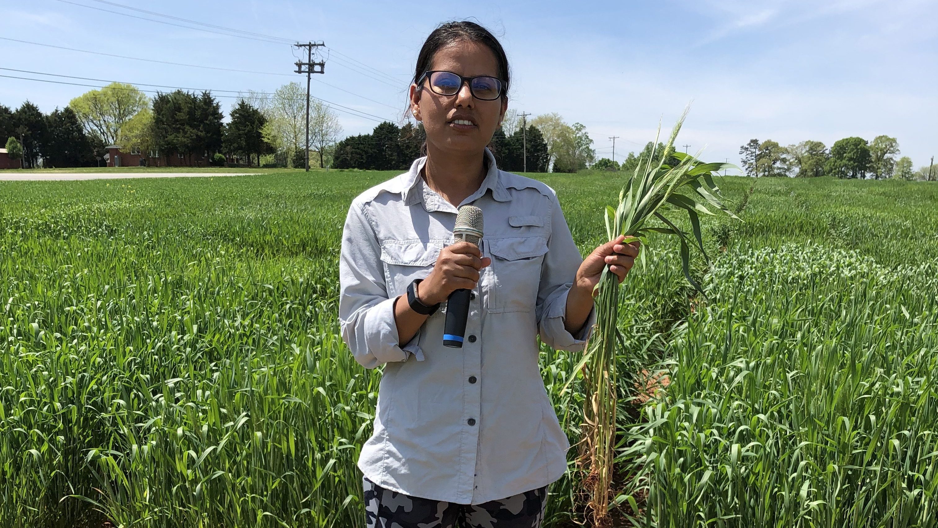 Urmilla is standing near the wheat and barley research plots of Dave Marshall.