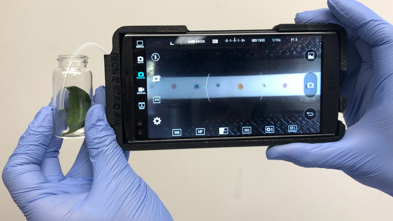 Gloved hand holding phone beside plant sample