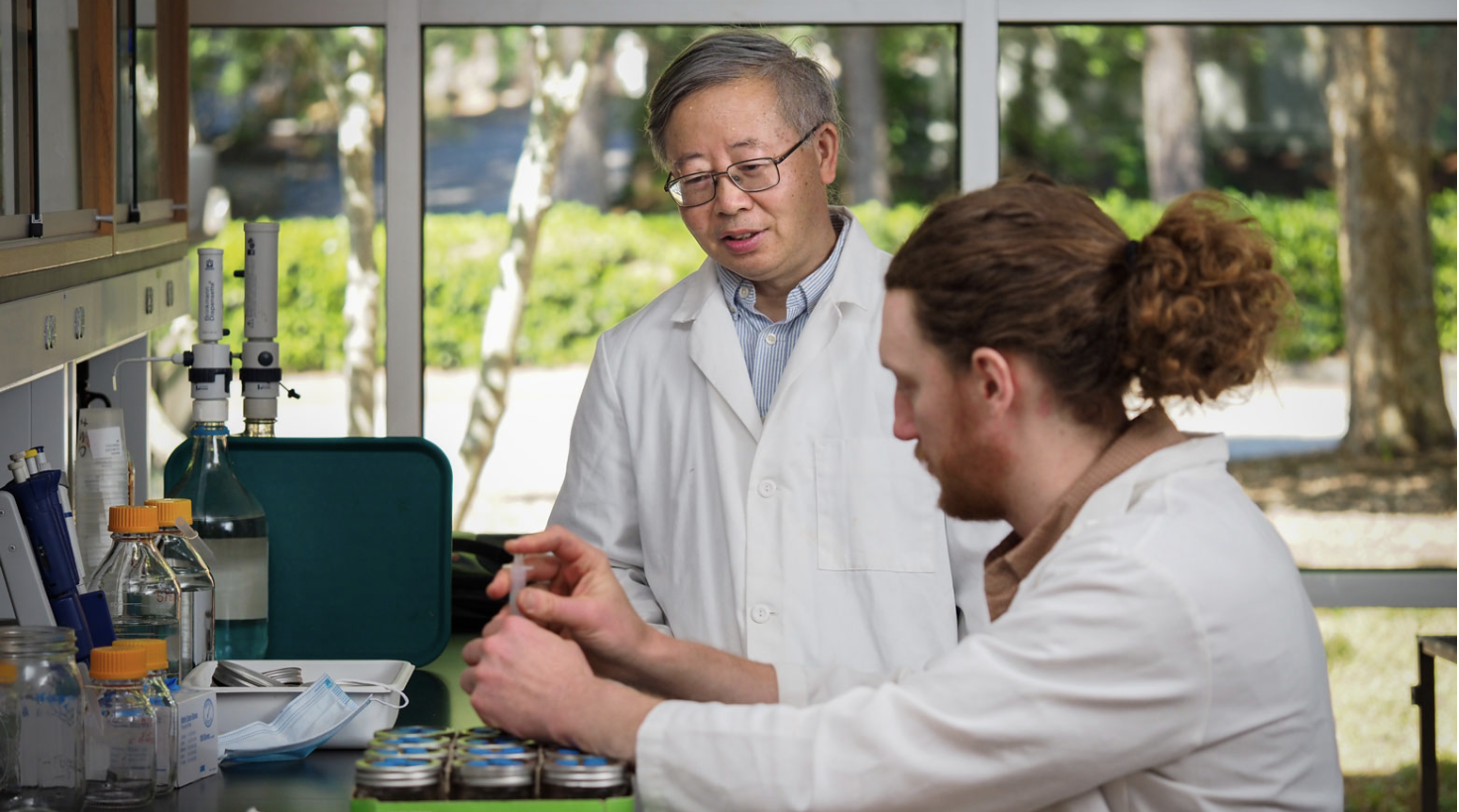 Shuijin Hu in Lab with Postdoc