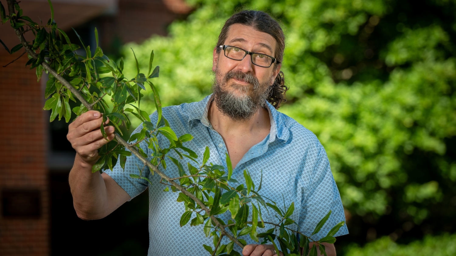 Steve Frank holding a tree branch