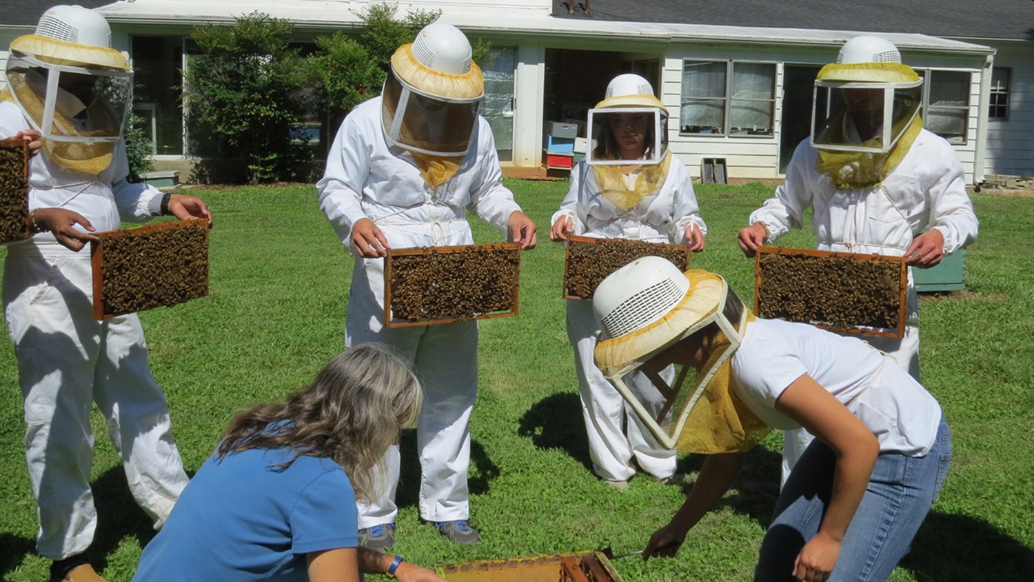 Beekeeping class checking hive frames