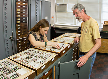 Bonnie Blaimer and Bob Blinn in the NCSU Insect Collection (M. Bertone - NCSU)