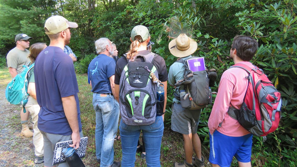 Entomology Graduate Courses Entomology and Plant Pathology NC State