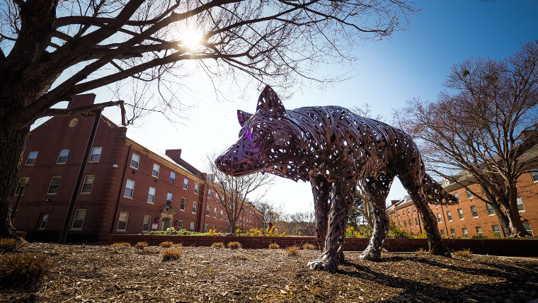 Iron wolf statue on campus