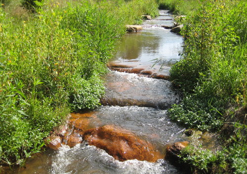 stream through field