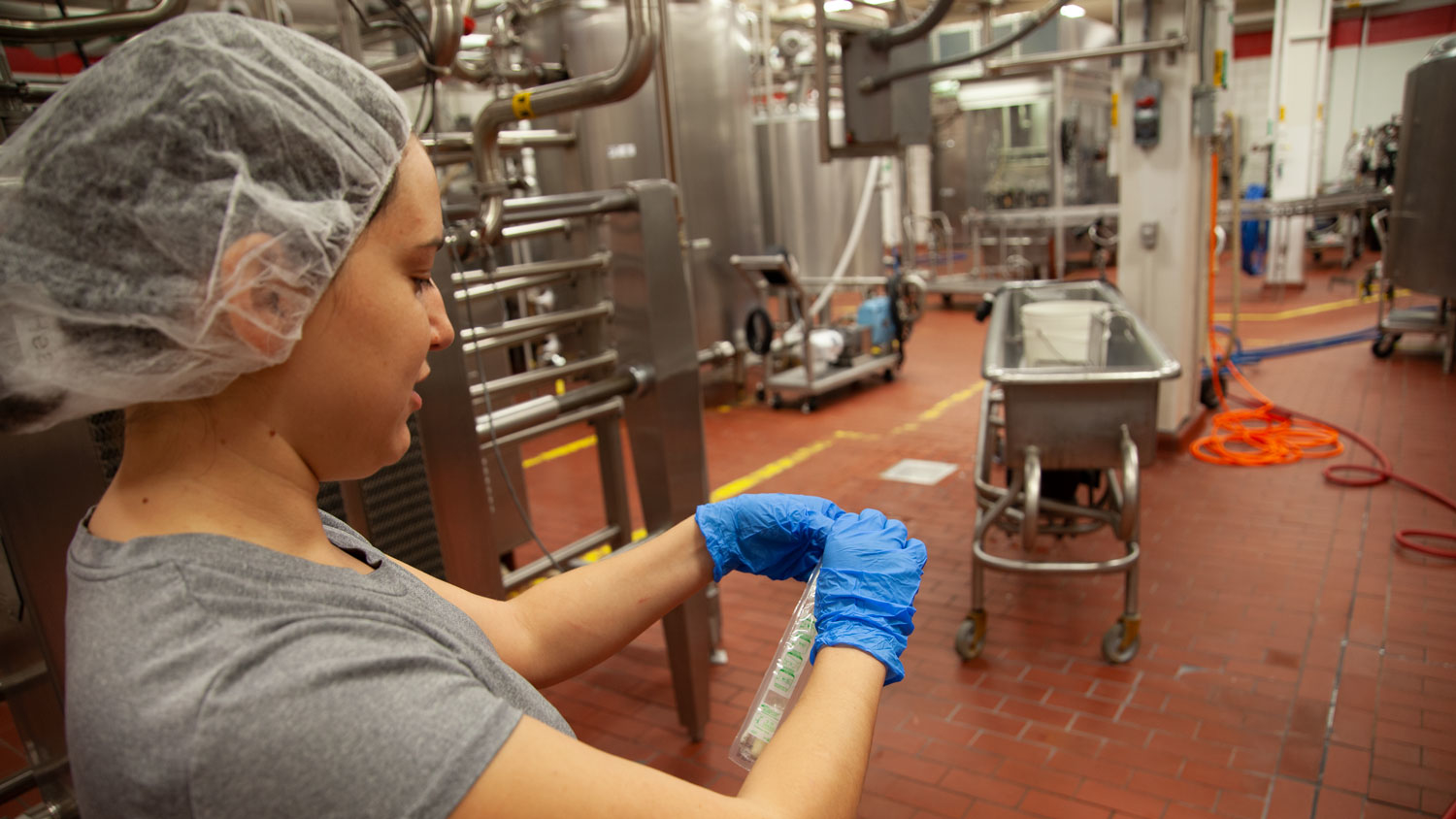 A woman begins the process of taking a pathogen sample at a dairy processing facility