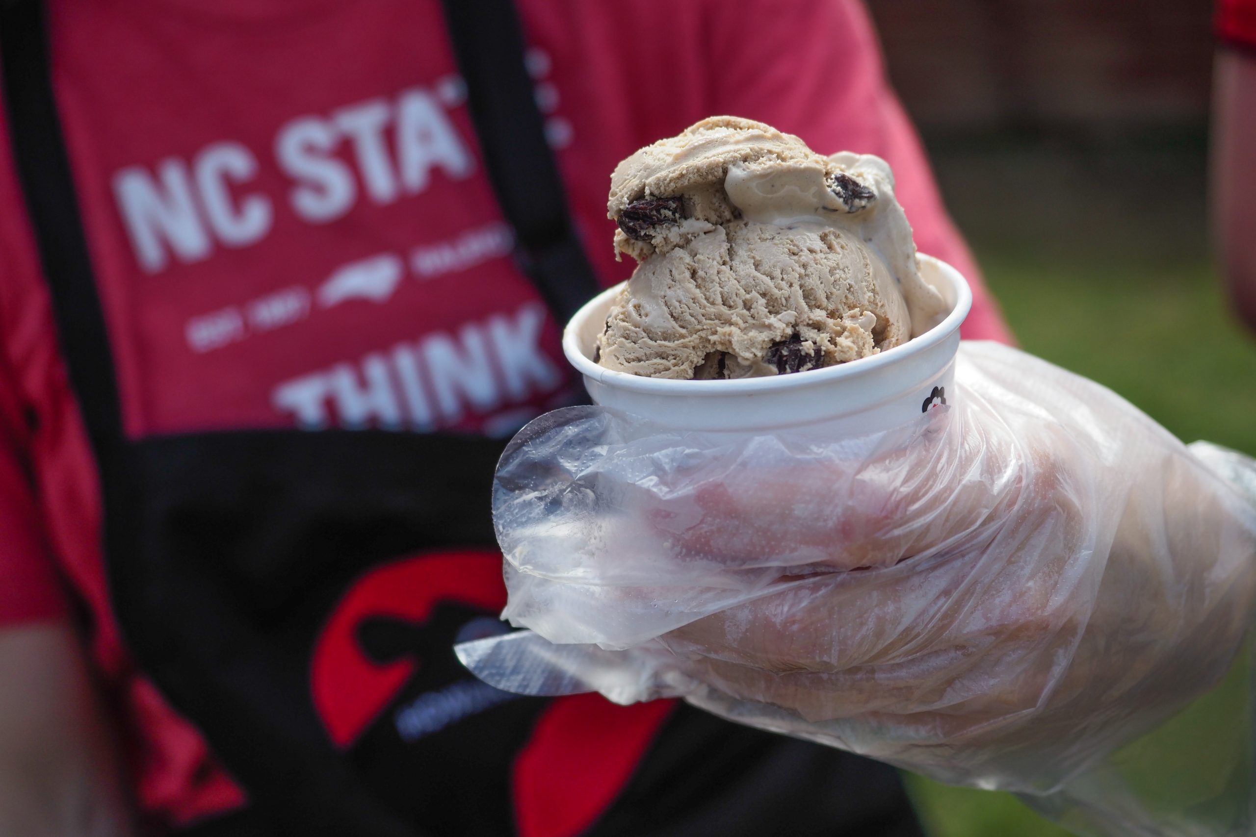 image of a howling cow creamery cup of ice cream