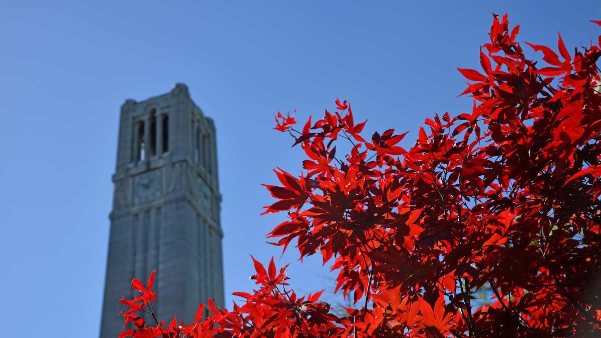 NC State University belltower