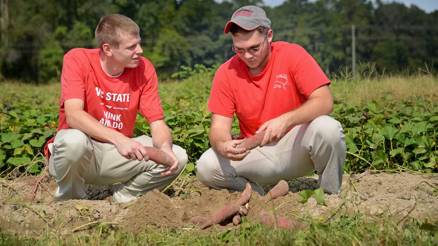 Horticulture students