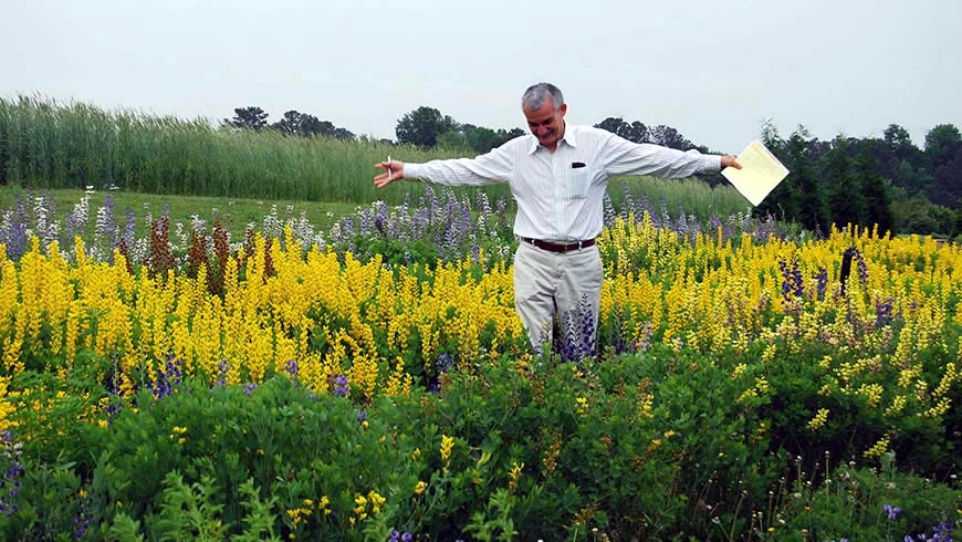 Dr. Dennis Werner walking in a field of flowers.