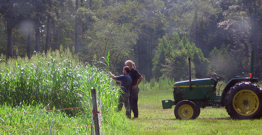 CEFS farm