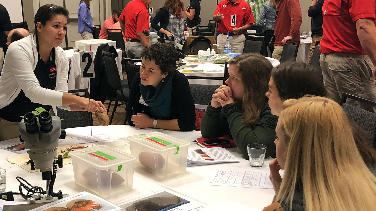 Madison Stahr, Ph.D. student, presenting at 2020 Sweetpotato Meeting