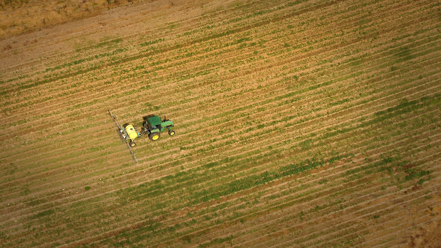 Aerial of tractor spraying fields at Lake Wheeler farms.