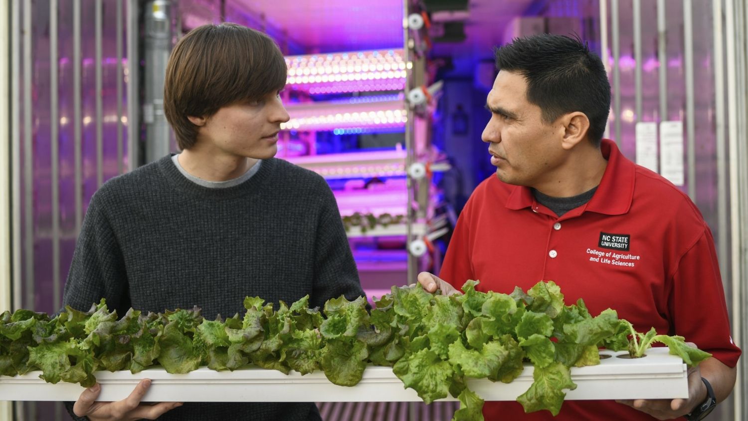 Two men holding a tray of lettuce in front of a shipping container farm lit in purple