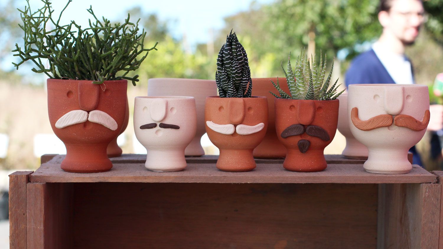 A row of potted plants. The pots have faces with mustaches.