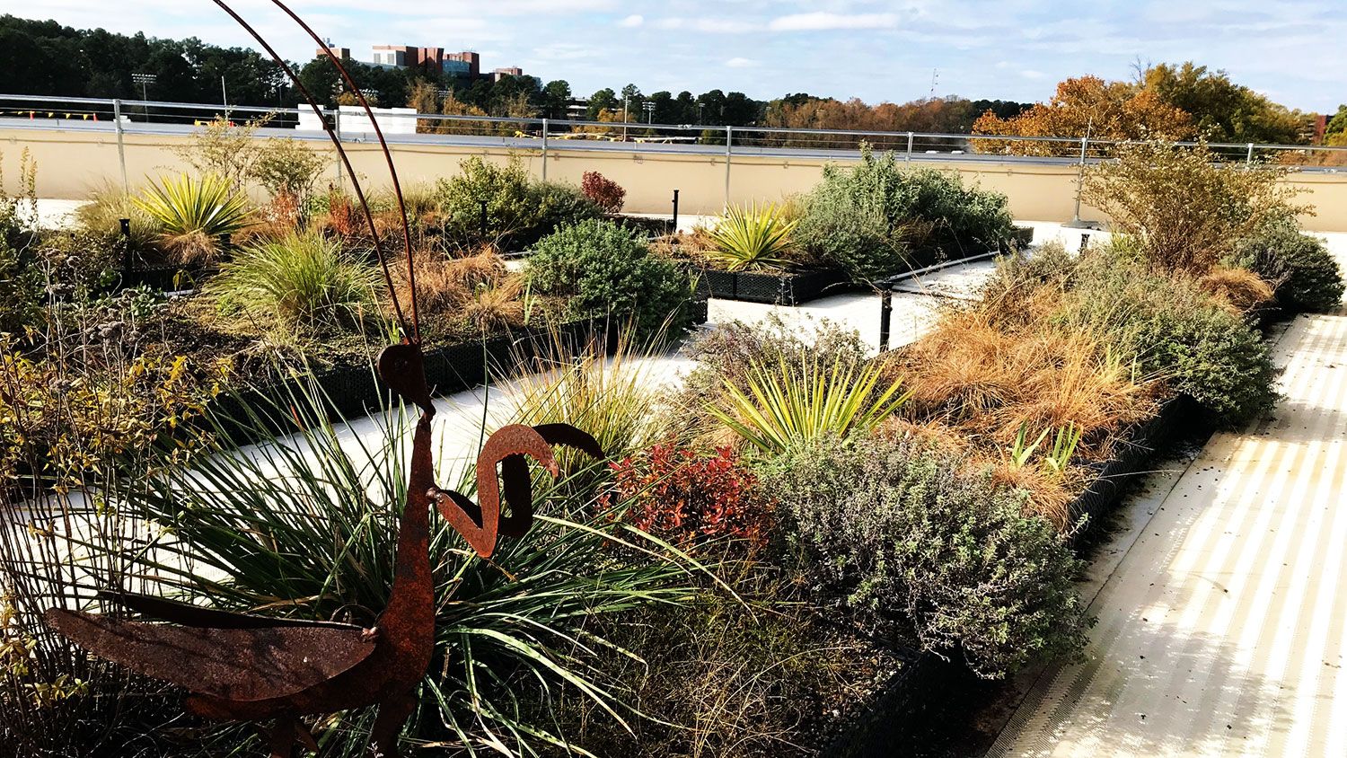 Rooftop Pollinator Tour