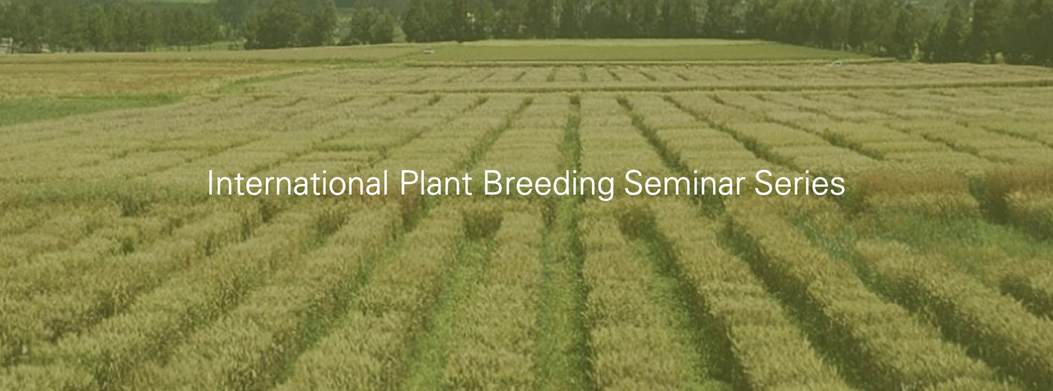 International Plant Breeding Seminar Series