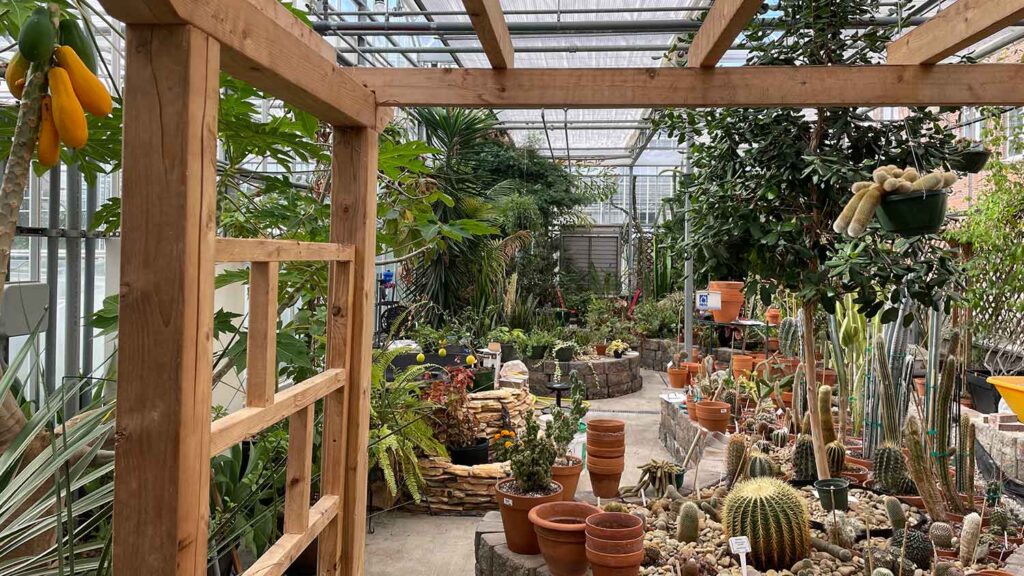 Inside NC State Plant Conservatory