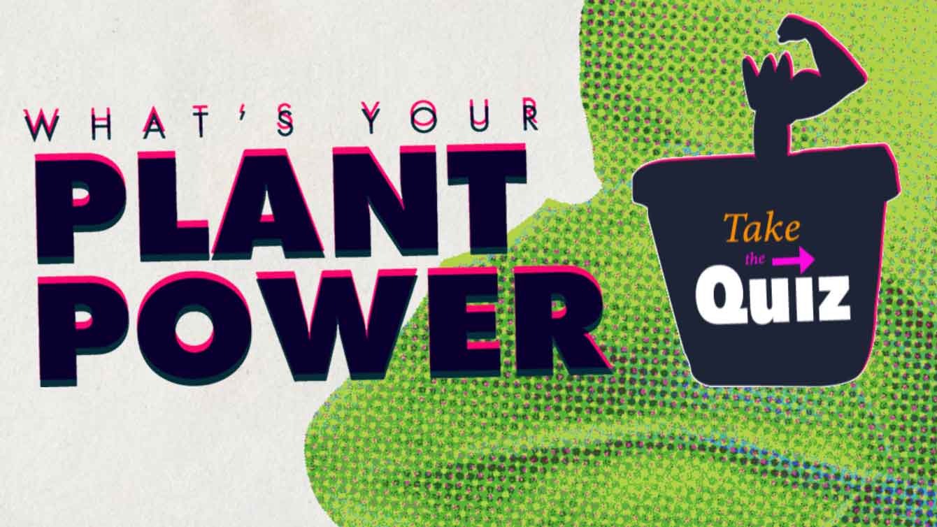 What's your plant power?