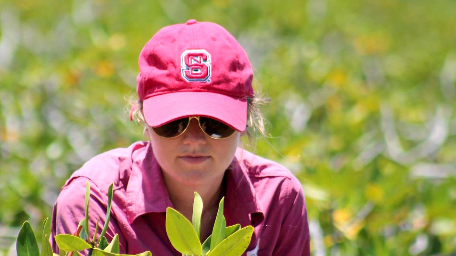 student analyzing crop in field