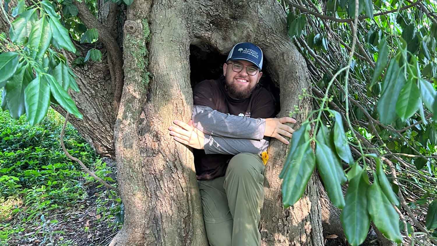 Tanner Hammerling inside a tree