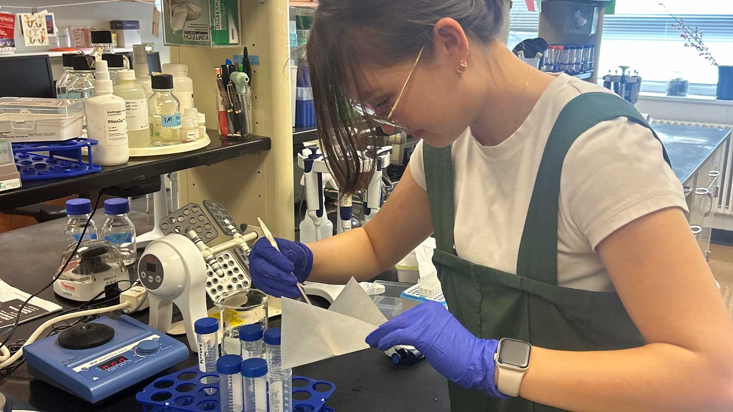 Ellen White, blueberry genetics undergraduate researcher