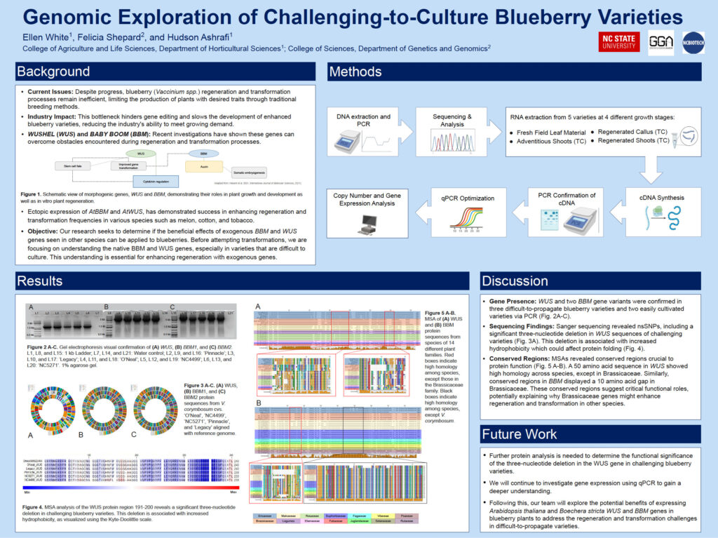 Genomic Selection of Challenging-to-Culture Blueberry Varieties research poster