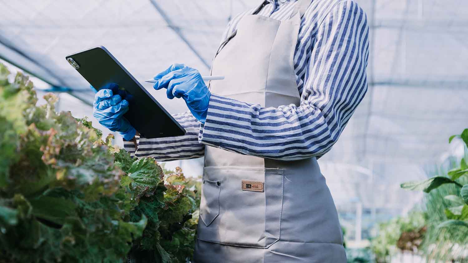 woman using tablet in greenhouse