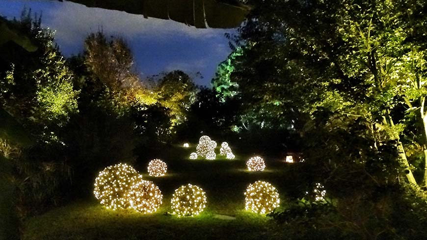 JC Raulston Arboretum's moonlight in the garden