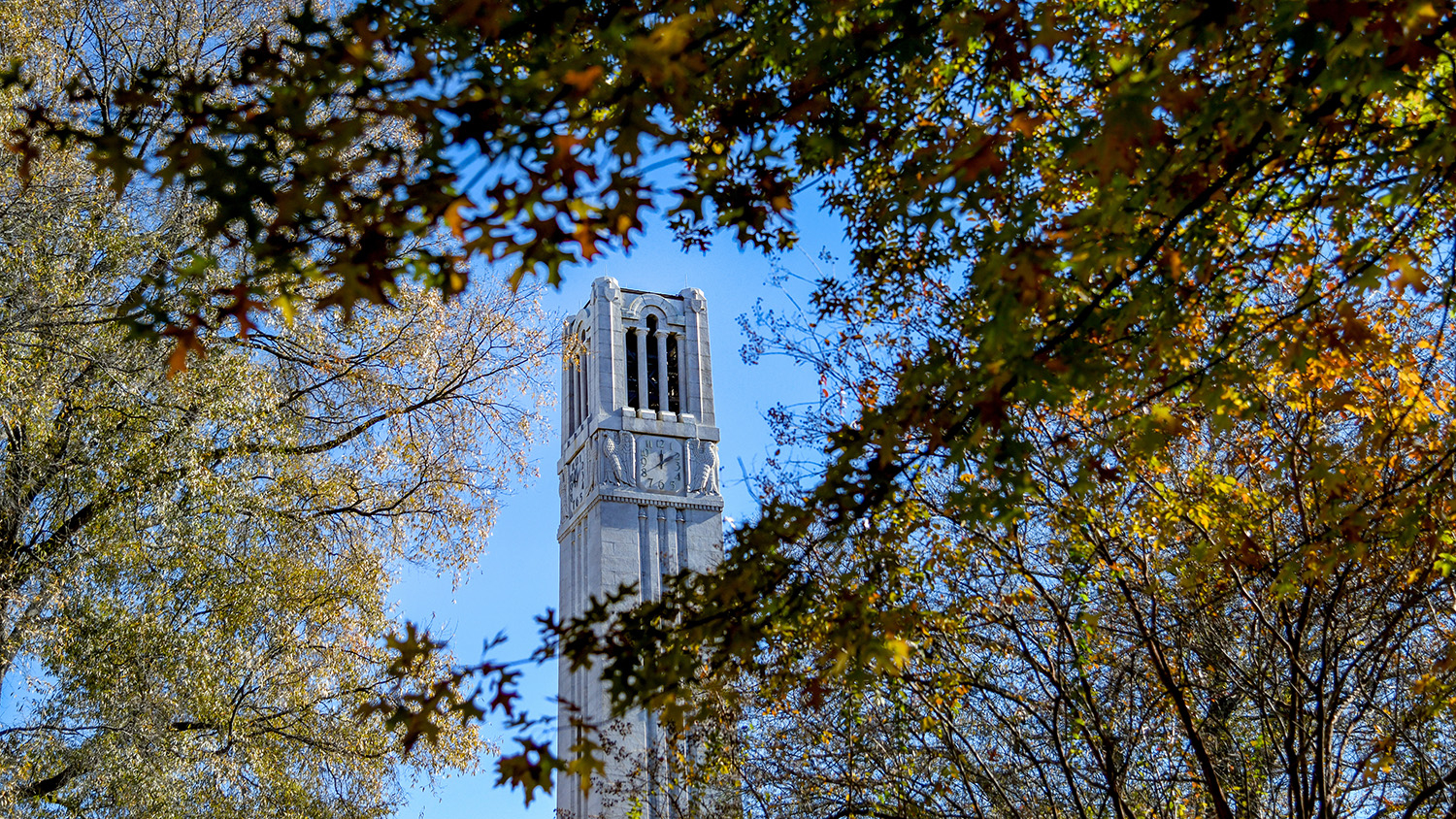 Fall leaves surround the Belltower on a warm November day