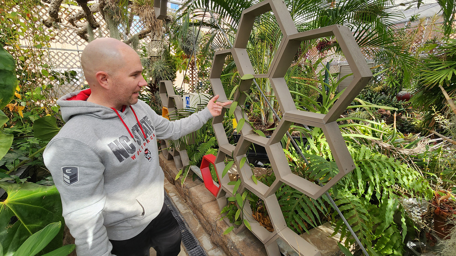 Man in a greenhouse