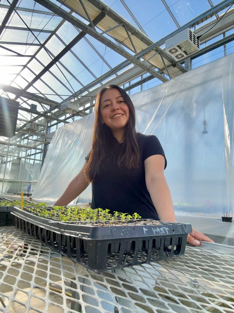 Ingrid Tuyuc propagating in greenhouse