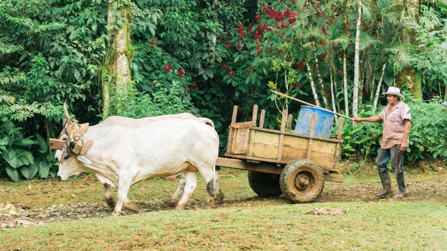 Costa Rica