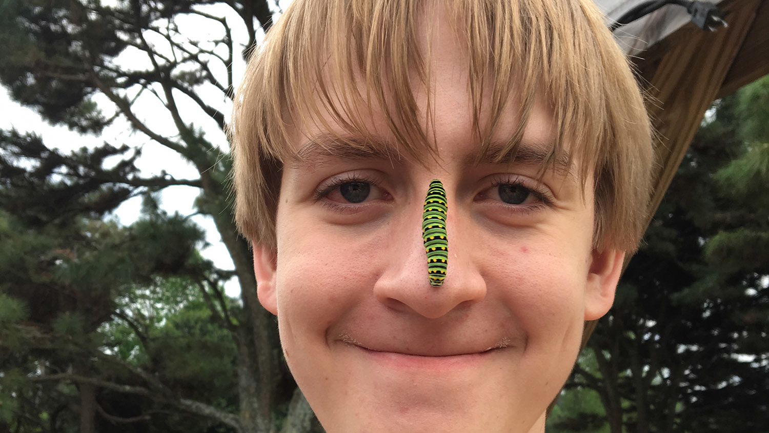 Child with caterpillar on his nose.
