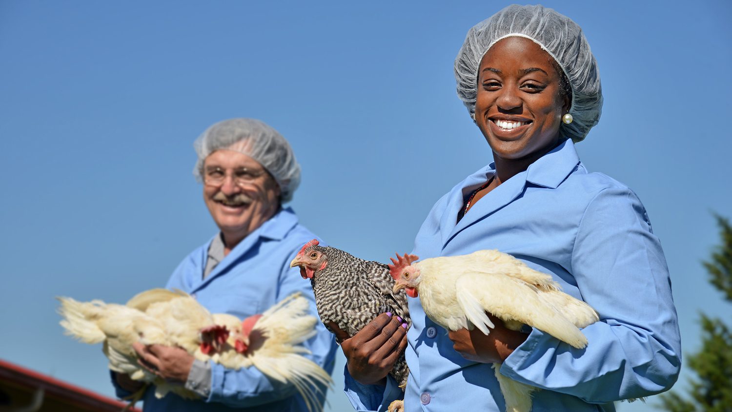 student and researcher holding chickens