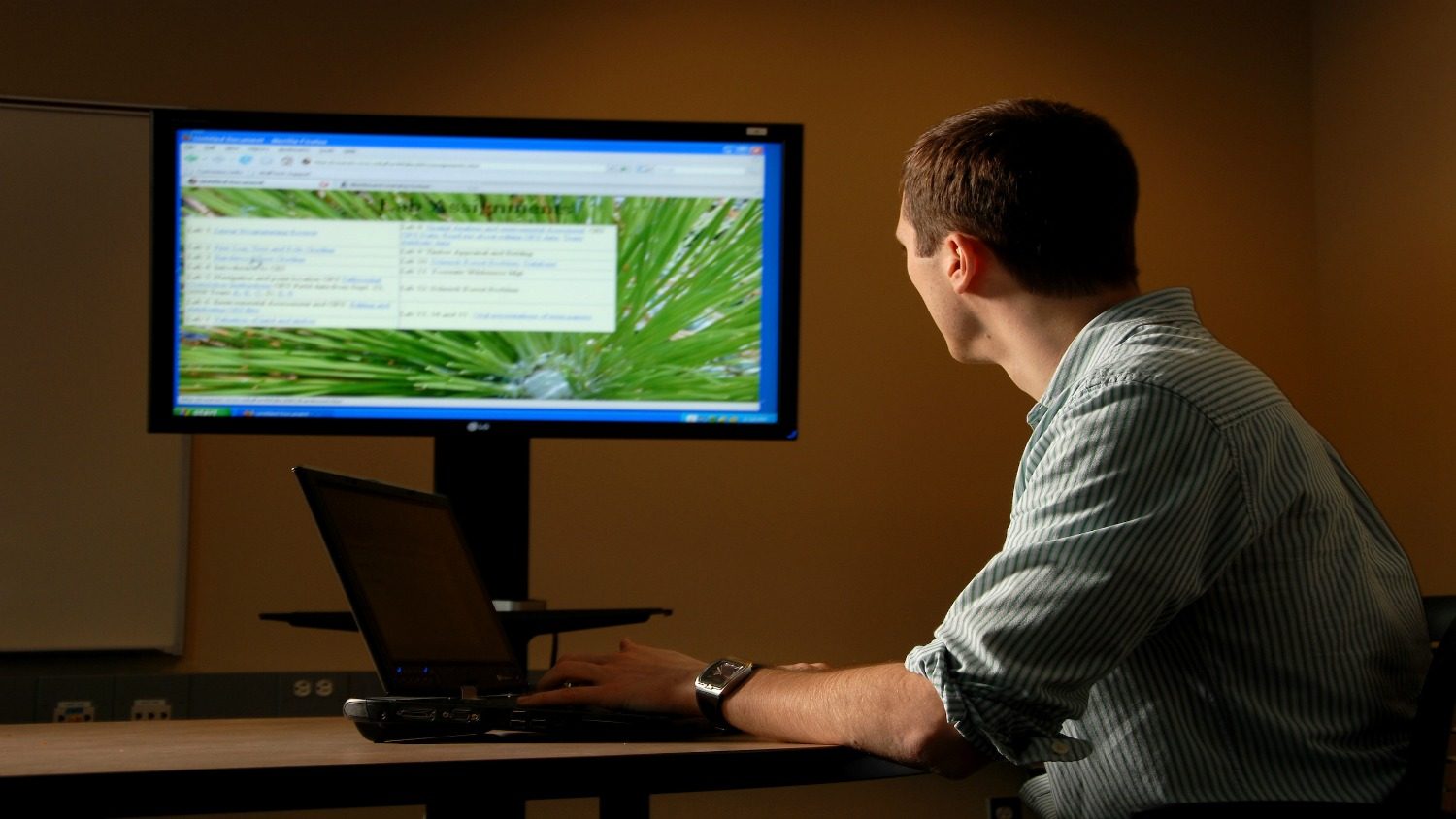 White man looking at desktop computer