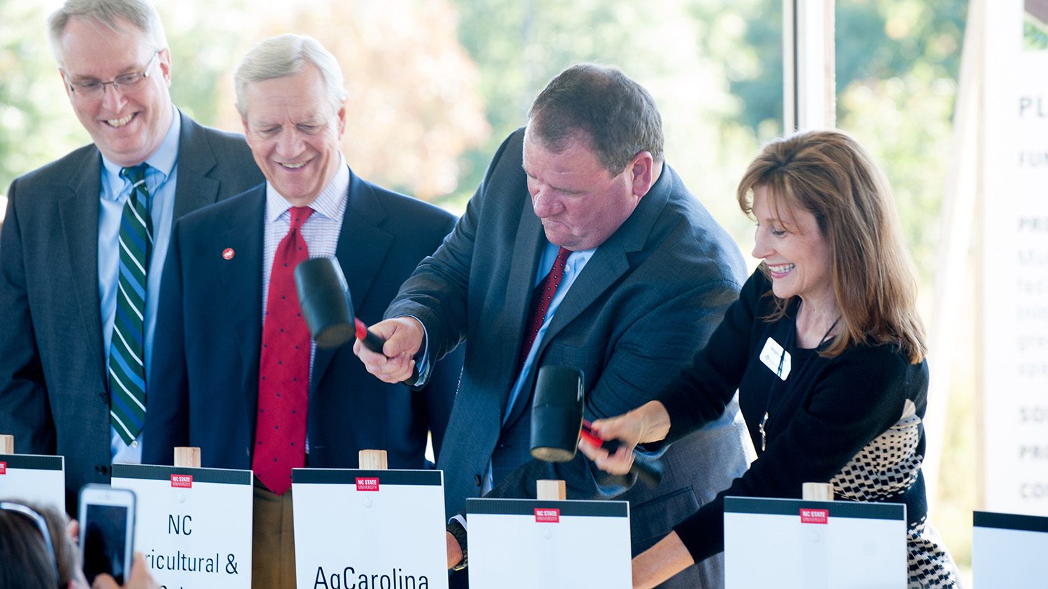 Four stakeholders, pounding stakes into the ground with rubber mallets