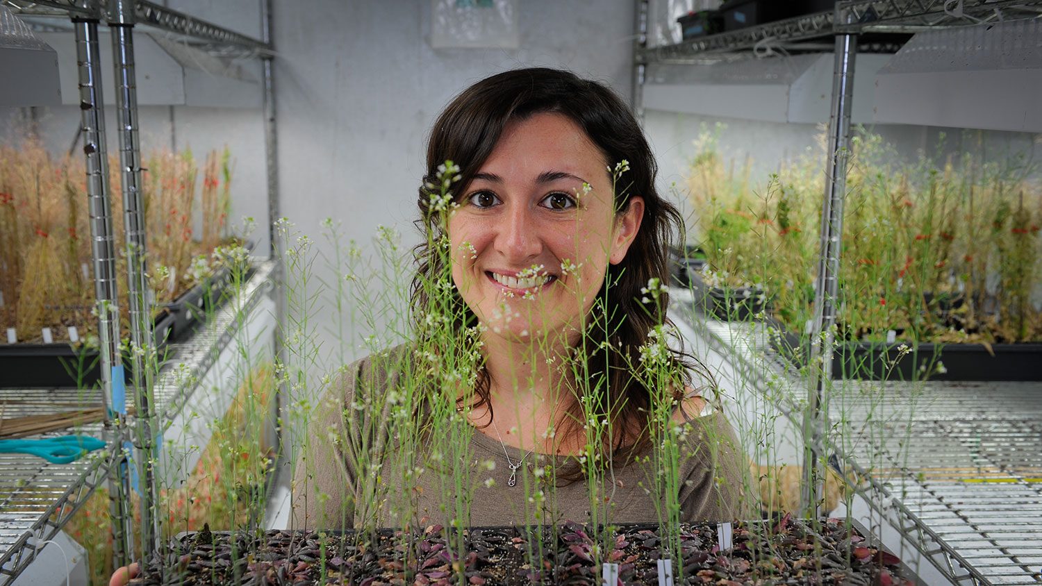 Female faculty member and her research in the form of plants